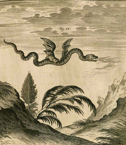 Représentation du dragon par Scheuchzer (1708)