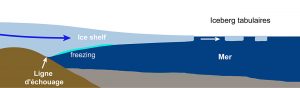 Schéma de la formation d'un shelf