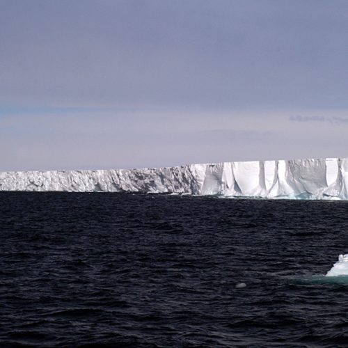 Front d'un shelf (hauteur 40 m) © Photolia