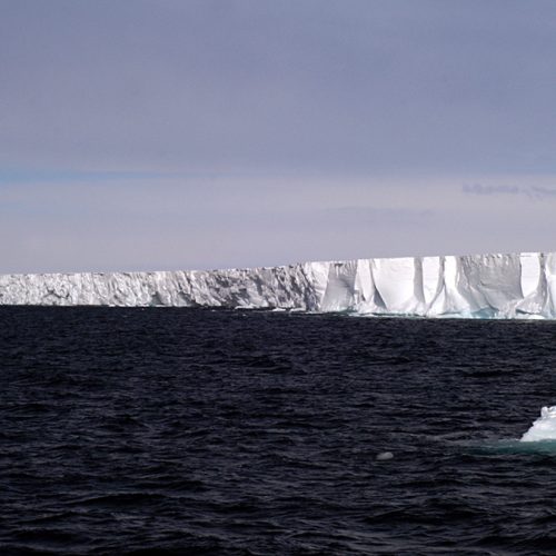 Front d'un shelf (hauteur 40 m) © Photolia