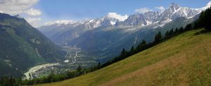 Reconstitution paléoenvironnementale de la vallée de Chamonix. aujourd'hui et au Dryas récent.