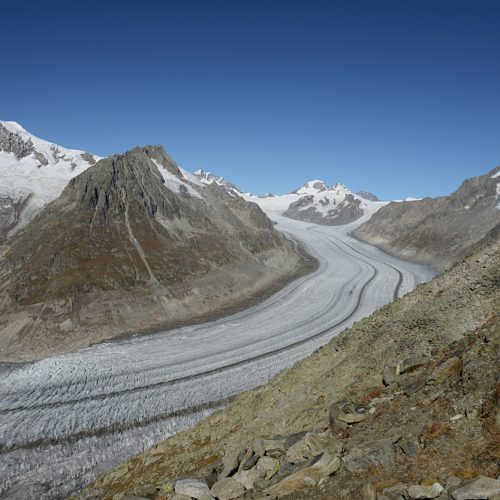 Vue depuis l'Eggishorn