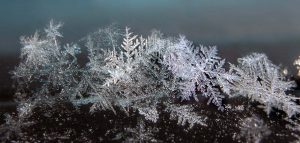 Etoile de neige et grains de glace © Bolognesi