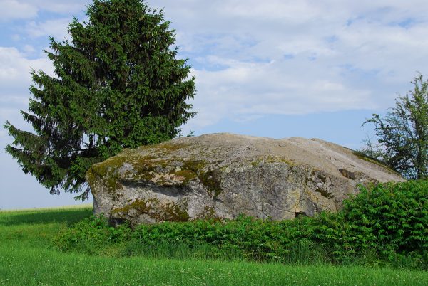 Bloc erratique de gneiss au Steinhof