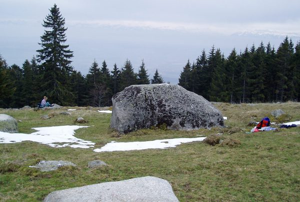 Blocs erratiques de granite du Mont-Blanc (la Matoulaz, Jura)
