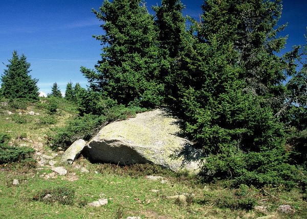 Volumineux bloc de granite du Mont Blanc au sommet de l'Arpille