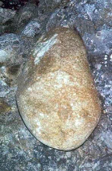 Galets de roches cristallines de forme typiquement glaciaire, qui ne sont donc pas originaires du Vercors, mais qui peuvent provenir du bassin d'alimentation glaciaire de l'Isère, de celui de la Romanche entre autres (longueur environ 30 cm)