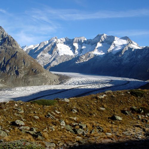 La grande moraine rive gauche entre Moosfluh et Riederfurka