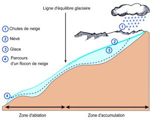 Coupe d'un glacier, trajet effectué par un flocon de neige depuis la zone d’accumulation