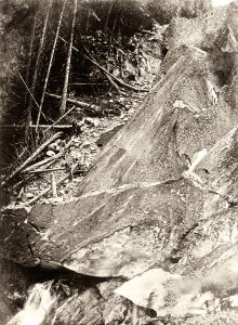 Dollfus-Ausset, 6 septembre 1850 le glacier d’Aletsch en crue s’avance dans la forêt, © JHV